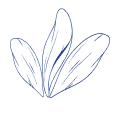 Decorative Leaf Icon
